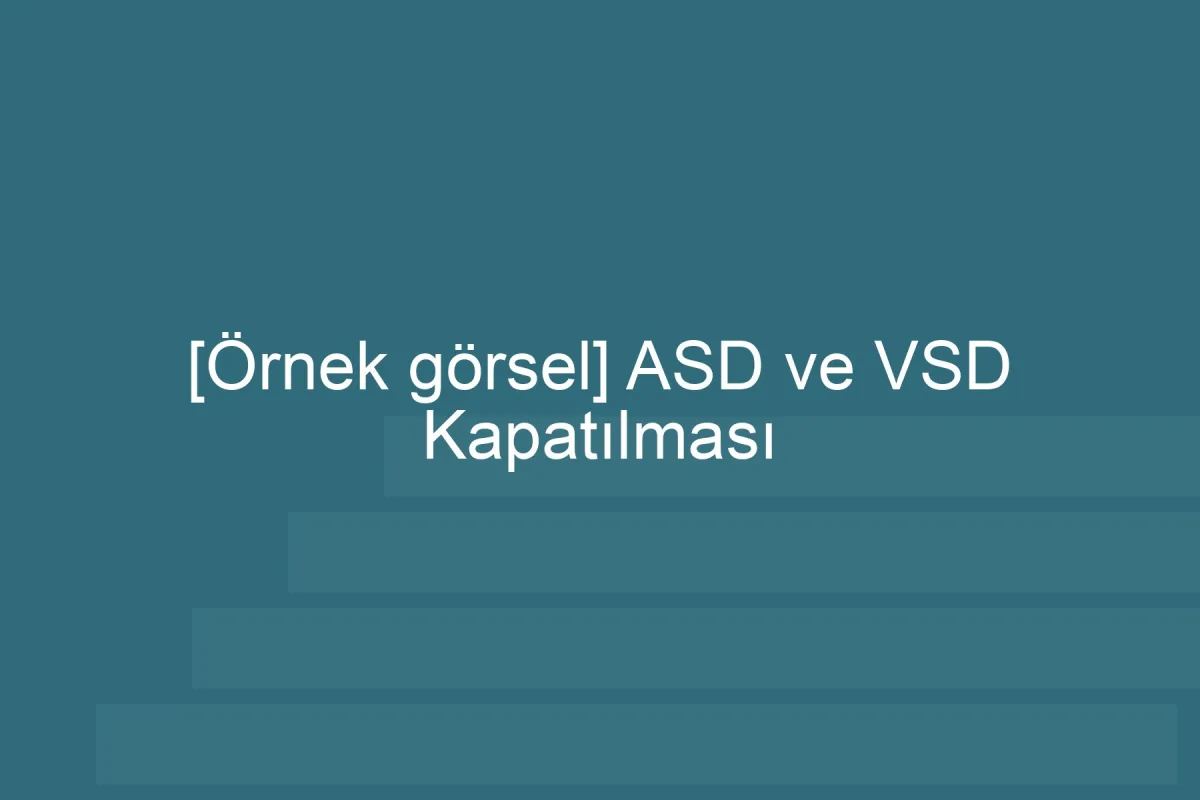 [Örnek içerik] [Örnek görsel] ASD ve VSD Kapatılması görseli.