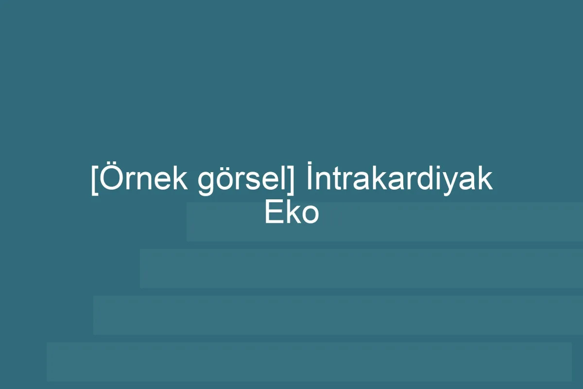 [Örnek içerik] [Örnek görsel] İntrakardiyak Eko görseli.