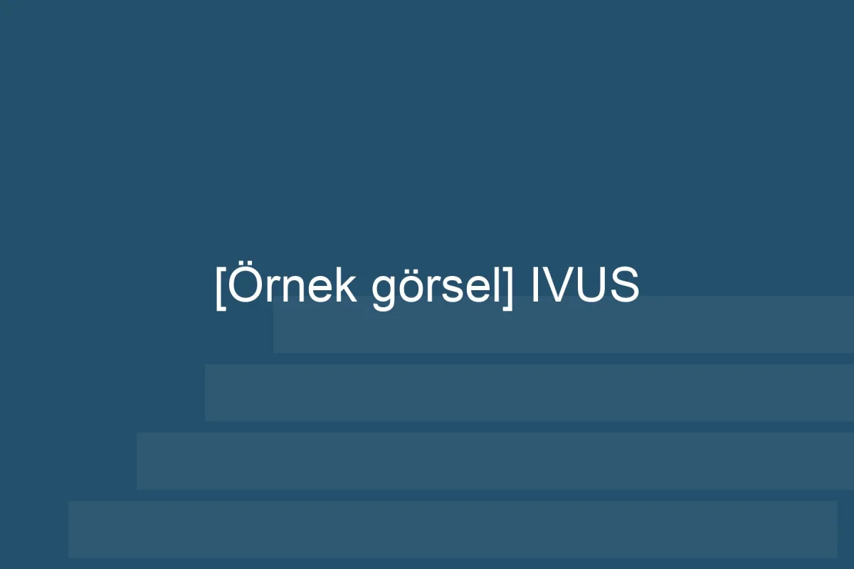 [Örnek içerik] [Örnek görsel] IVUS görseli.