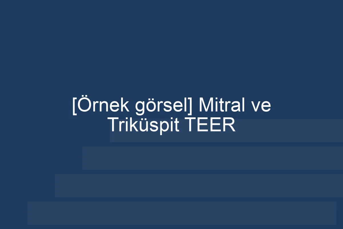 [Örnek içerik] [Örnek görsel] Mitral ve Triküspit TEER görseli.