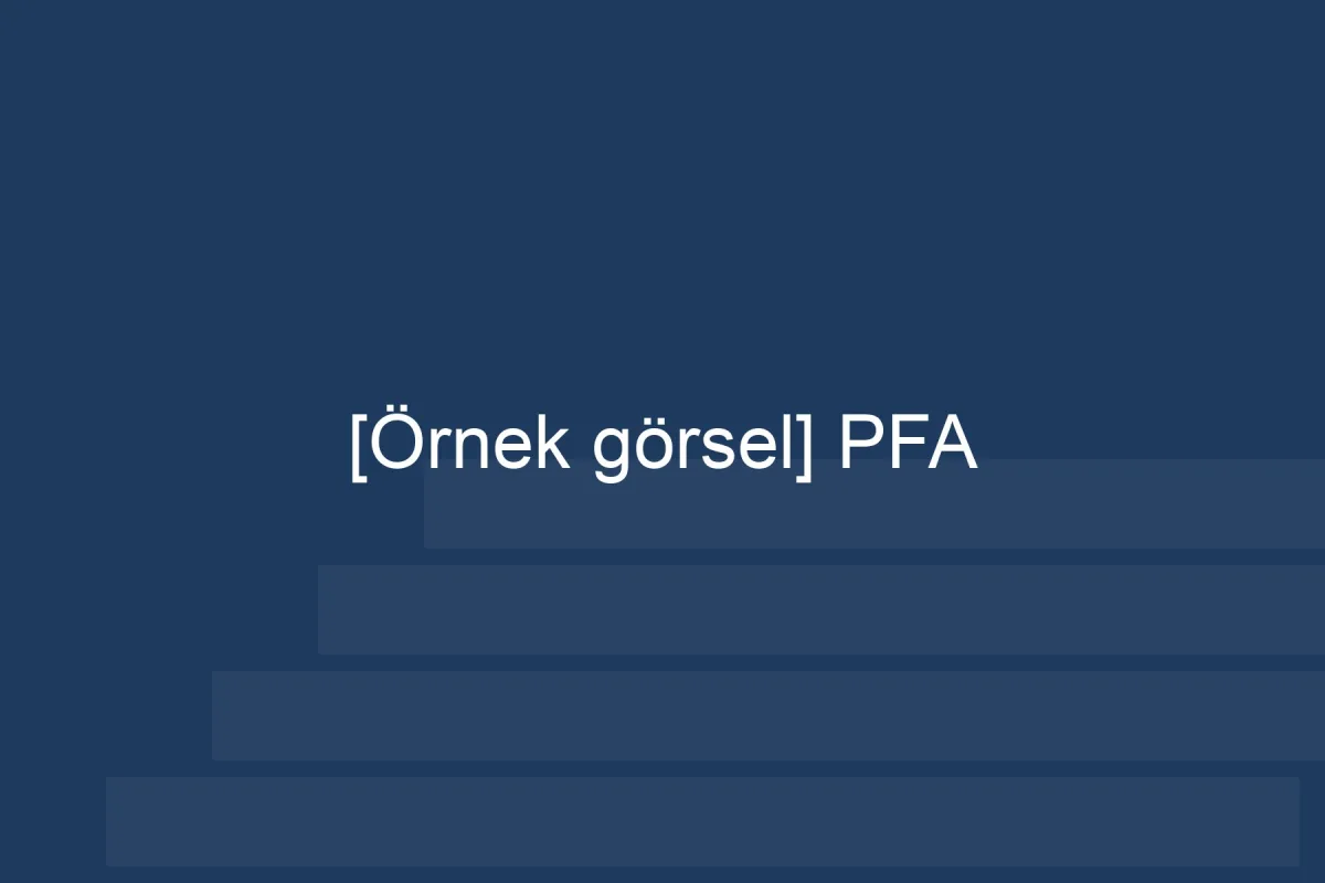 [Örnek içerik] [Örnek görsel] PFA görseli.