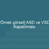 [Örnek içerik] [Örnek görsel] ASD ve VSD Kapatılması görseli.