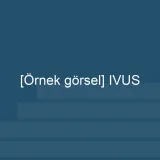 [Örnek içerik] [Örnek görsel] IVUS görseli.