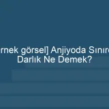 [Örnek içerik] [Örnek görsel] Anjiyoda Sınırda Darlık Ne Demek? görseli.