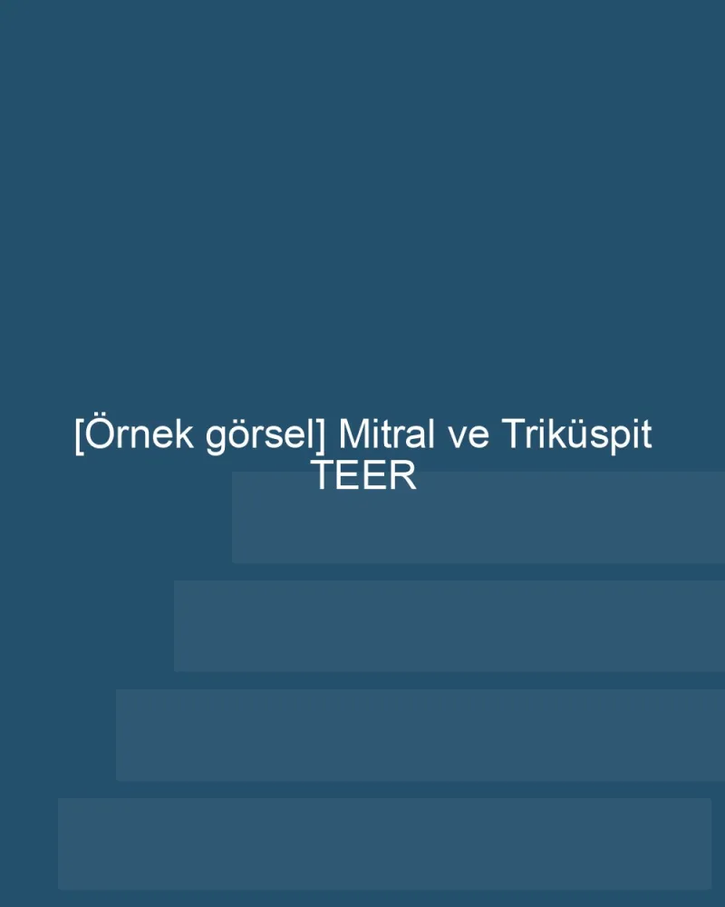 [Örnek içerik] [Örnek görsel] TEER: Mitral ve Triküspit Kapak Kaçağı görseli.